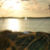 SKAGEN FYR stående - Bild 2