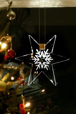 ISABEL STAR - Image 2