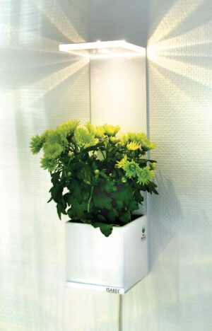 VINGA - Bild 3