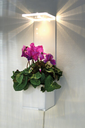 VINGA - Bild 2