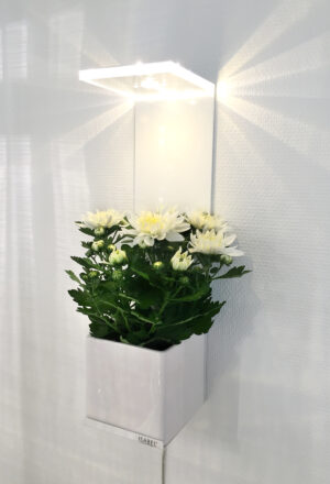 VINGA - Bild 4